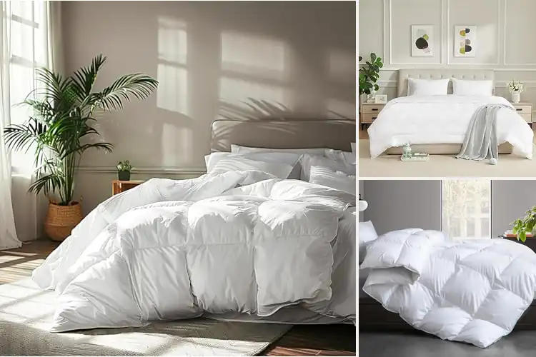 Detailed view of Best 100% Cotton Duvet Inserts