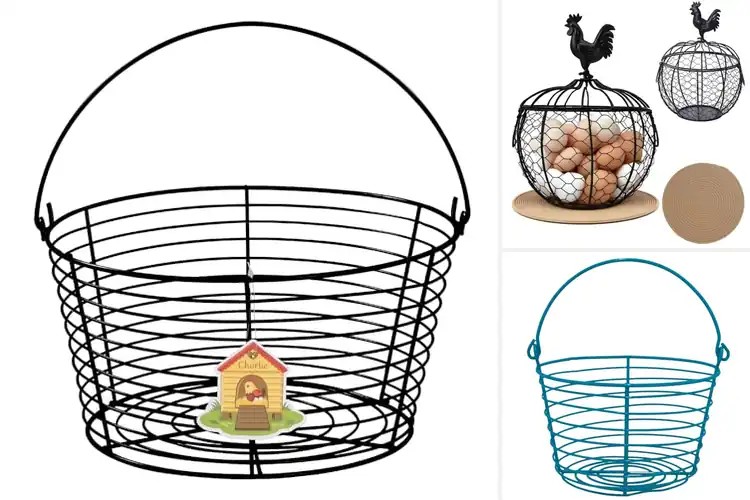 Detailed view of Best 36 Egg Capacity Baskets: Top 10 Stylish & Safe Options