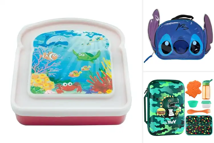 Detailed view of Best 3D Design Lunch Boxes