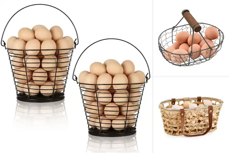 Detailed view of Best 7.7 Inch Wide Egg Baskets
