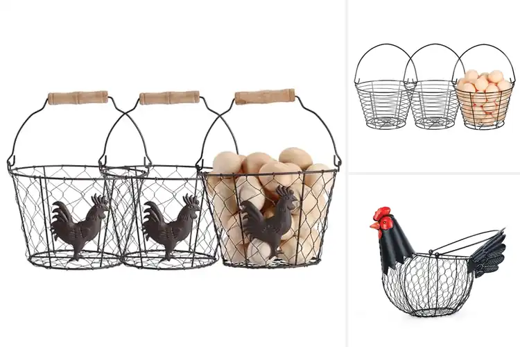 Detailed view of Best Chicken Egg Baskets