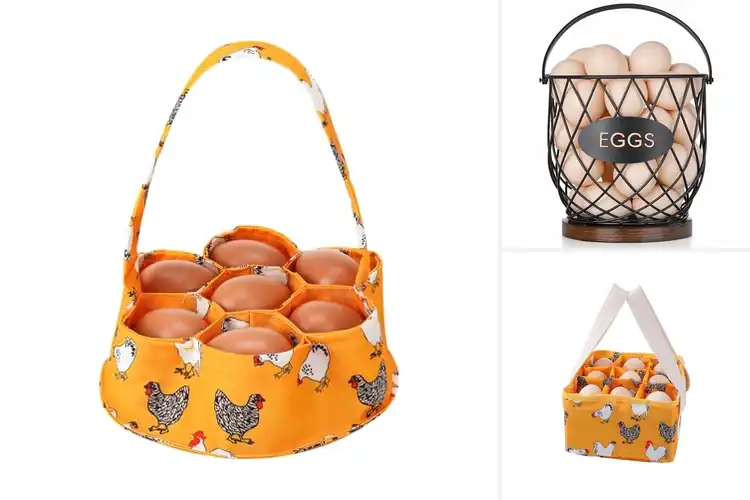 Detailed view of Best Chicken Egg Carriers