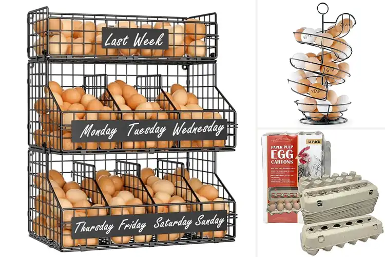 Detailed view of Best Chicken Egg Holders: Top 10 Stylish & Practical Picks