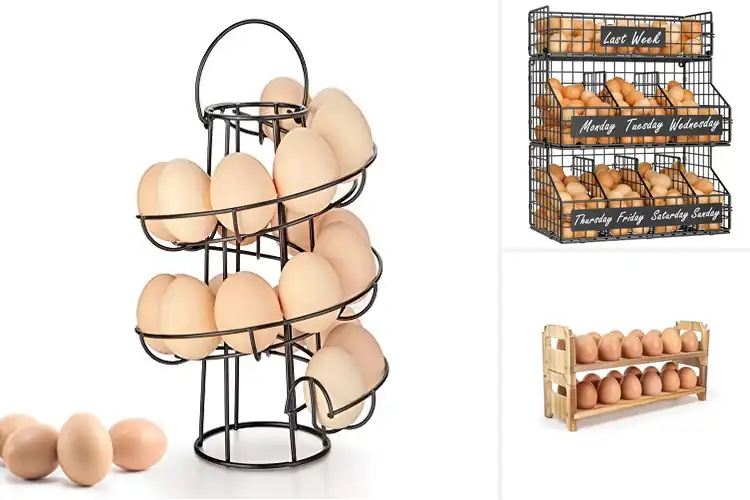 Detailed view of Best Countertop Egg Displays
