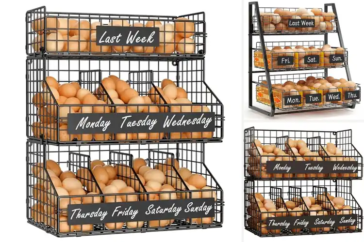 Detailed view of Best Countertop Egg Storage Baskets
