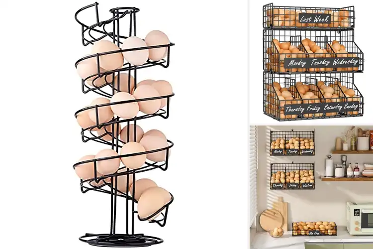 Detailed view of Best Countertop Egg Storage