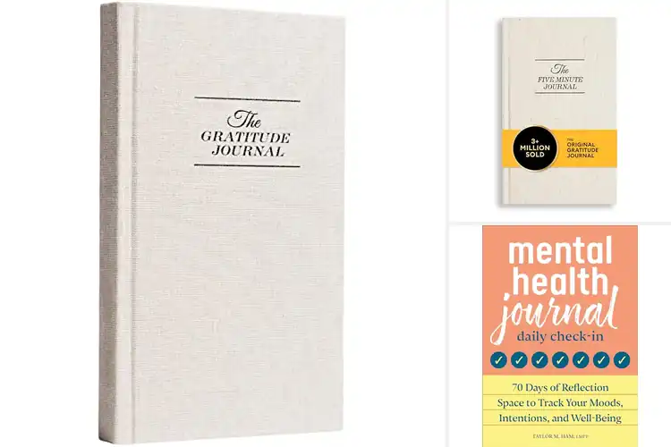 Detailed view of Best Daily Reflection Journals