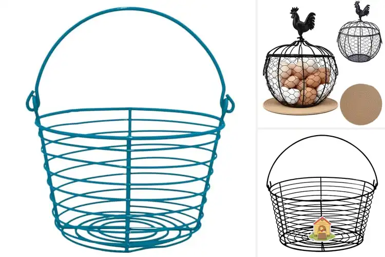Detailed view of Best Egg Baskets For Approximately Thirty Six Eggs