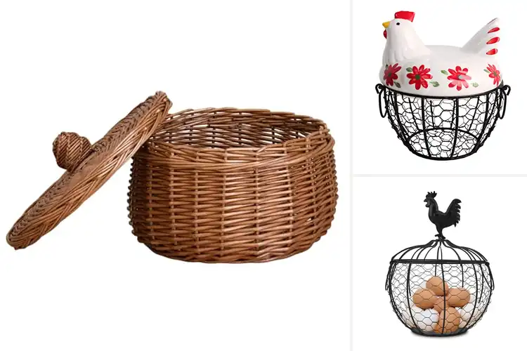 Detailed view of Best Egg Baskets With Lids