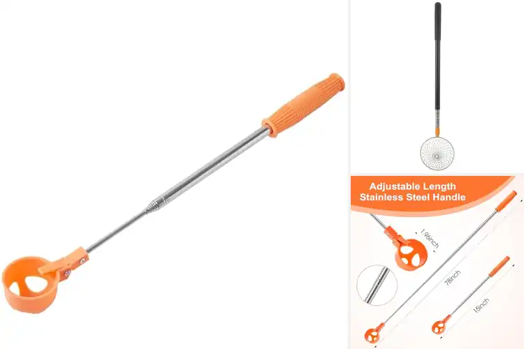 Detailed view of Best Egg Collecting Tools