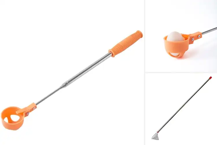 Detailed view of Best Egg Gathering Tools