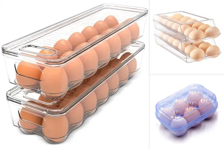Detailed view of Best Egg Keepers: Top Picks for Fresh, Organized Storage
