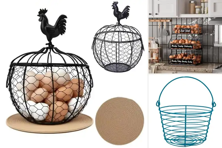 Detailed view of Best Egg Storage Basket For About Thirty Six Eggs