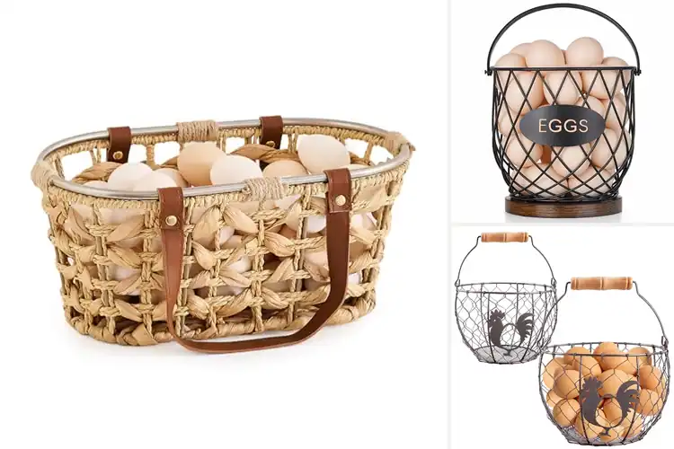 Detailed view of Best Egg Storage Baskets With Handle