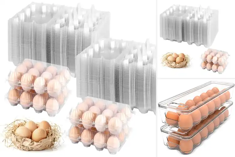 Detailed view of Best Egg Storage Solutions: Fresh, Safe & Super Organized