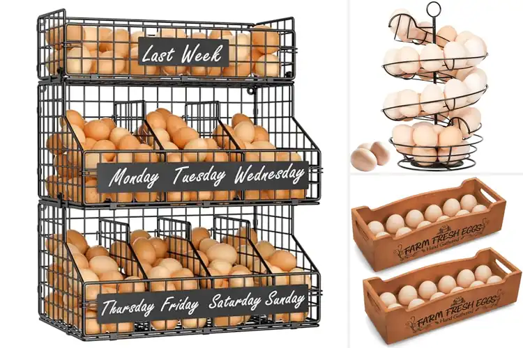 Detailed view of Best Farm Egg Holders for a Neat Kitchen