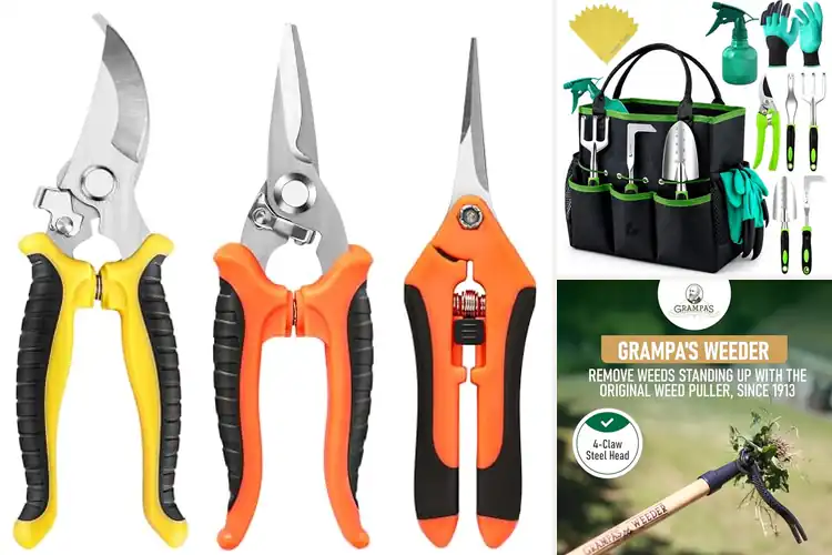 Detailed view of Best Garden Equipment: Top Tools for Stress-Free Gardening