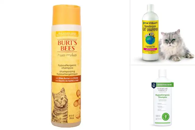 Detailed view of Best Hypoallergenic Shampoos for Cats