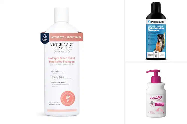 Detailed view of Best Itch Relief Shampoos for Cats: Soothing 10 Picks