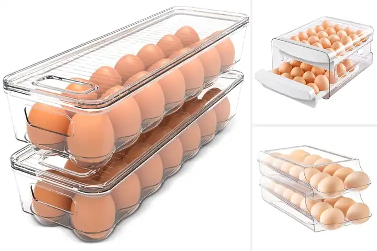 Detailed view of Best Kitchen Egg Storage: Keep Your Eggs Fresh & Organized