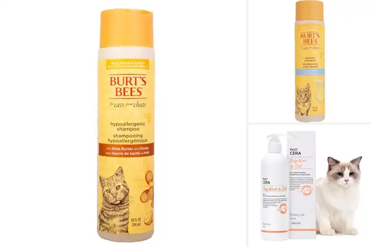 Detailed view of Best Natural Cat Shampoos for Calm, Gentle Bath Time