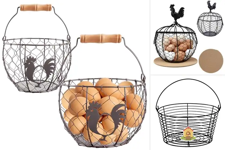 Detailed view of Best Reinforced Rim Egg Baskets