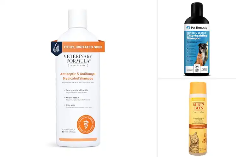 Detailed view of Best Shampoos for Cats with Skin Problems