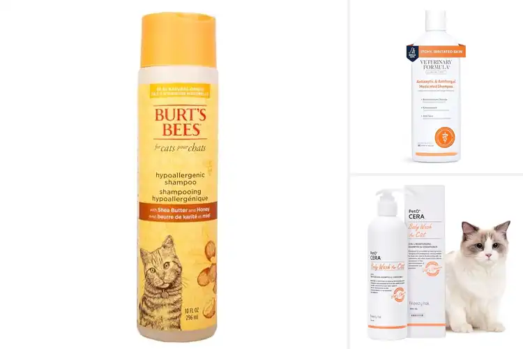 Detailed view of Best Shampoos for Sensitive Skin Cats