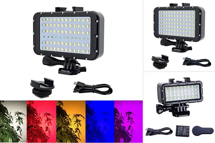 Detailed view of Best Underwater Photography Lights