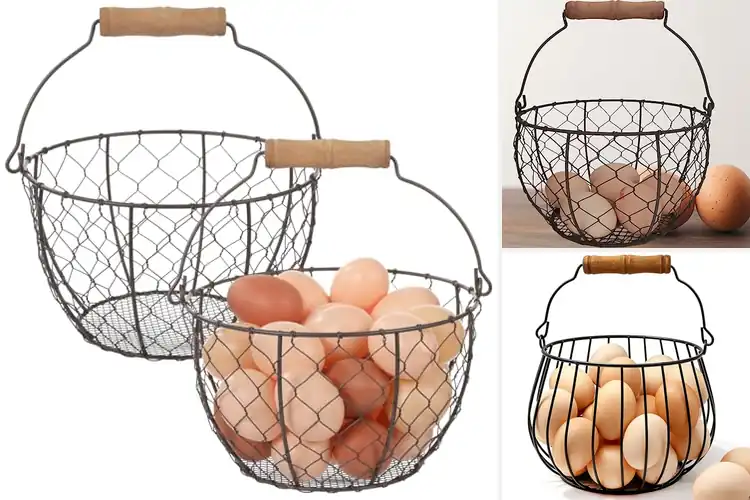 Detailed view of Best Wire Egg Basket For Fresh Eggs